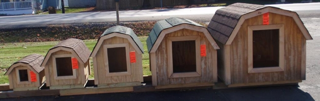 Dog Houses