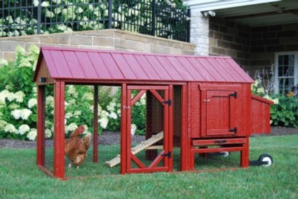Chicken Coop Atlanta