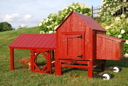 Chicken Coop Berlin
