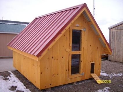 Chicken Coop Walk-In