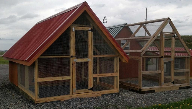 Chicken Coop Walk-In Runs