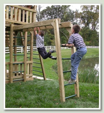 Monkey Bar Climber (8' long)